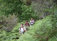 2009-05Corse (174)